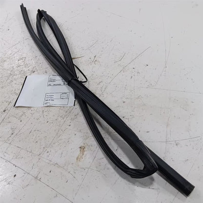 Toyota Rav 4 Door Glass Window Seal Rubber Left Rear Back  2015 2016 2