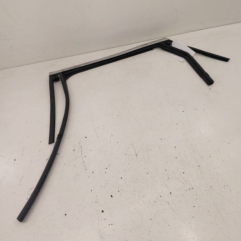 Ford Escape Door Glass Window Seal Rubber Left Driver Rear Back  2020 