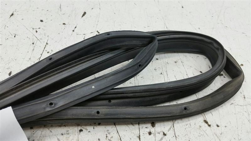 Ford Fusion On Door Seal Rubber Gasket Right Passenger Front 2009 2010