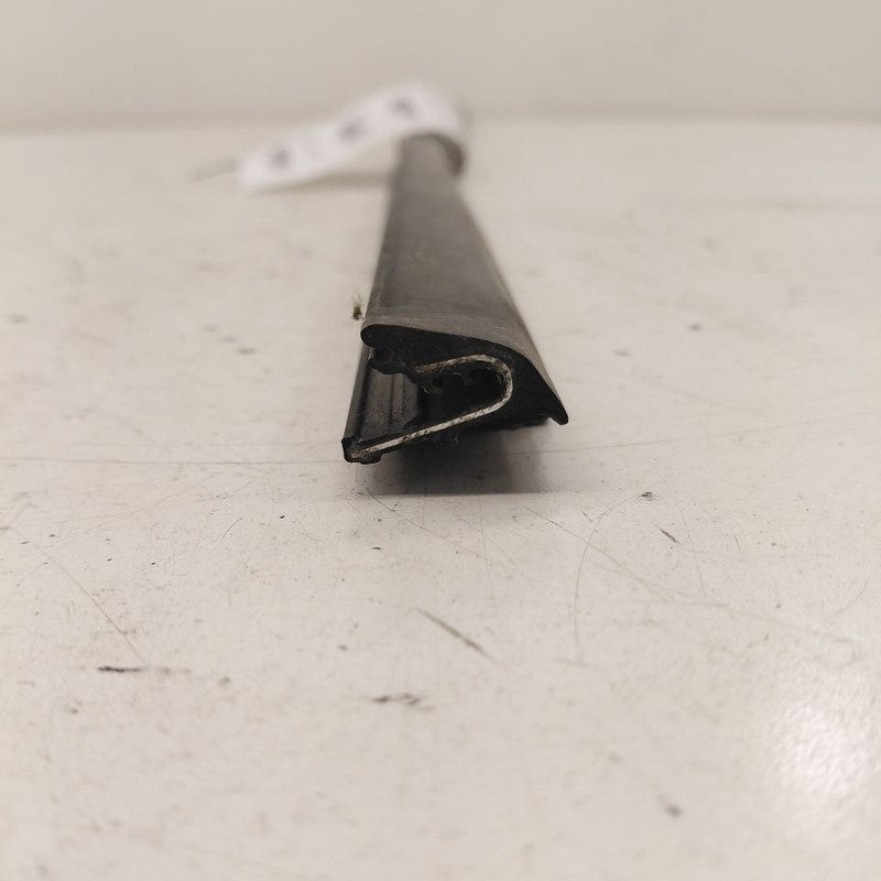 Chevy Volt Door Glass Window Weather Strip Trim Front Right Passenger 