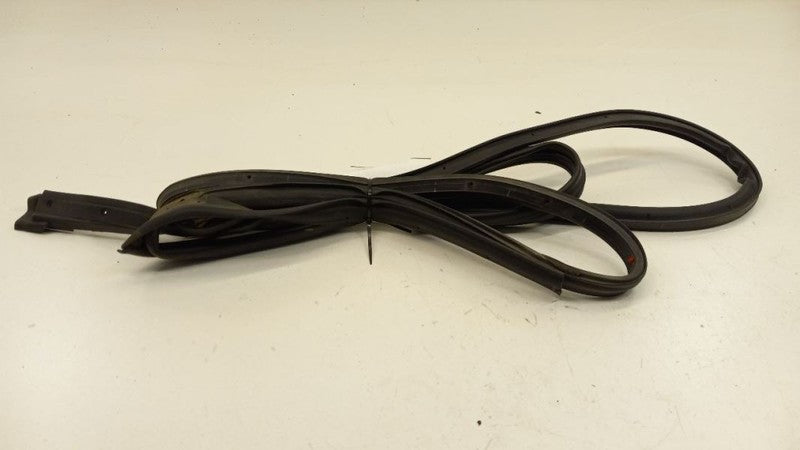 Nissan Sentra On Door Seal Rubber Left Rear Back 2008 2009 2010 2011 2012