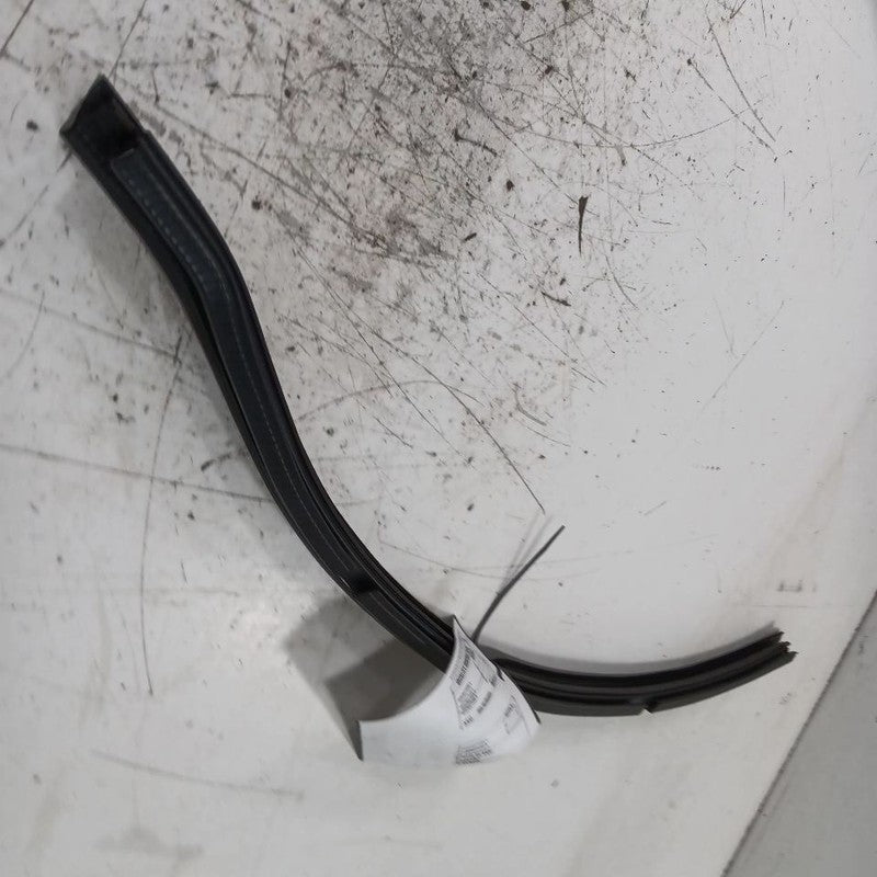 Fiat 500 Left Front Weather Strip Interior 2017 2016 2015 2014 2013 2012