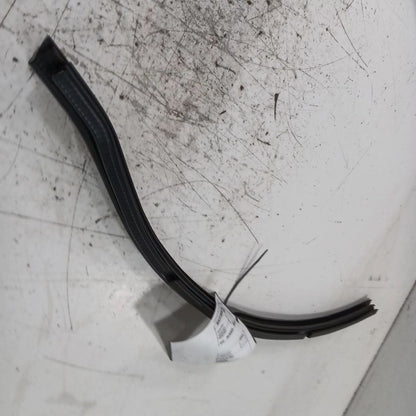 Fiat 500 Left Front Weather Strip Interior 2017 2016 2015 2014 2013 2012