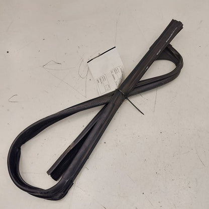 Ford Ecosport Door Glass Window Seal Rubber Right Passenger Front 2020