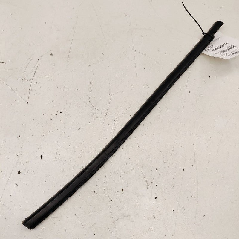 Chevy Trailblazer Door Glass Window Weather Strip Trim Rear Right Pass