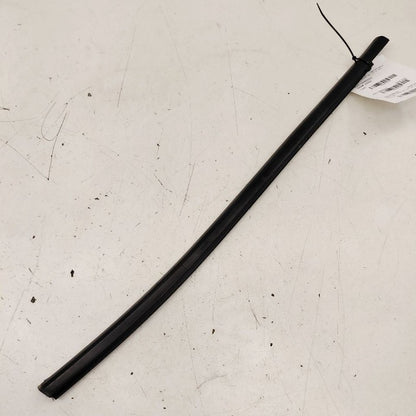 Chevy Trailblazer Door Glass Window Weather Strip Trim Rear Right Pass