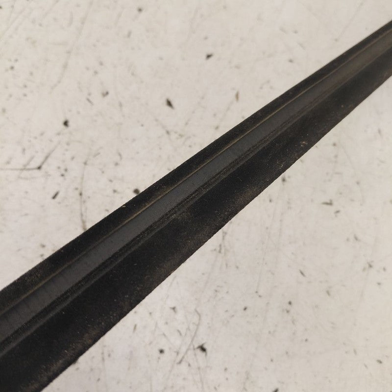 Chevy Equinox Door Glass Window Weather Strip Trim Rear Left Driver Ba