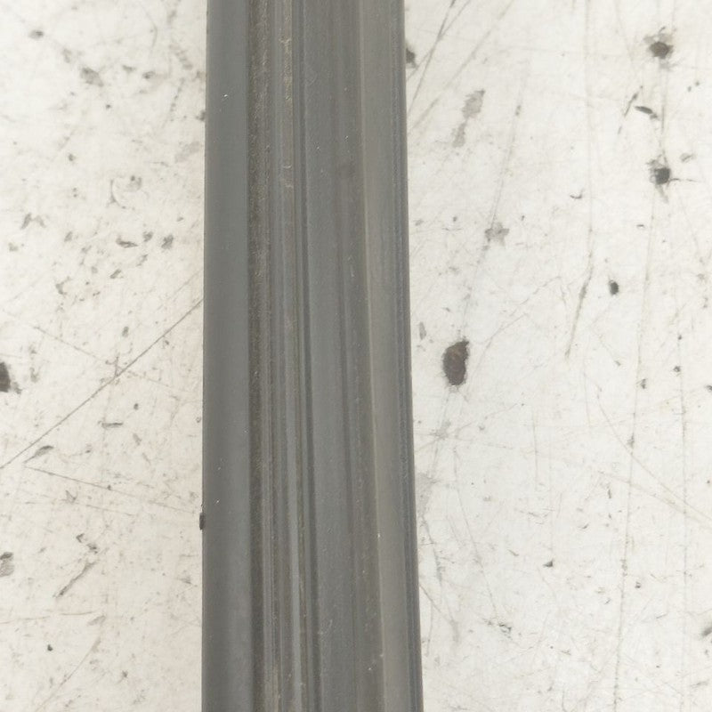Ford Edge Door Glass Window Seal Rubber Right Passenger Rear Back 2019