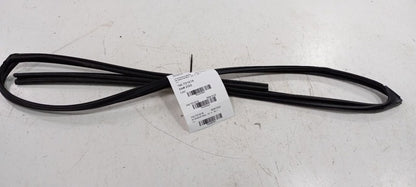 Toyota Corolla Door Glass Window Seal Rubber Right Passenger Front 201