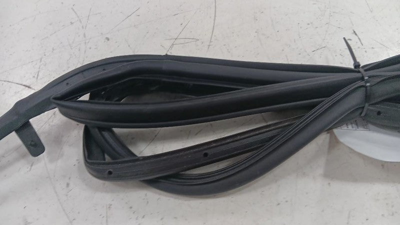 Chevy Volt On Door Seal Rubber Right Passenger Front  2011 2012 2013 2