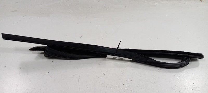 Ford Focus Door Glass Window Seal Rubber Left Rear Back 2018 2017 2016