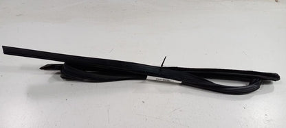 Ford Focus Door Glass Window Seal Rubber Left Rear Back 2018 2017 2016