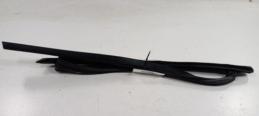Ford Focus Door Glass Window Seal Rubber Left Rear Back 2018 2017 2016