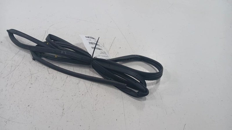 Honda Civic On Door Seal Rubber Left Rear Back  2016 2017 2018 2019 OE