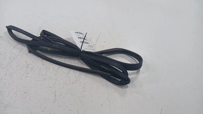 Honda Civic On Door Seal Rubber Left Rear Back  2016 2017 2018 2019 OE
