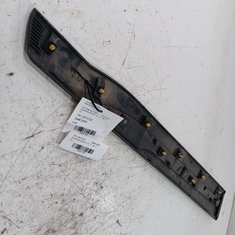 Nissan Kicks Door Molding Trim Strip Right Passenger Side Front  2021 