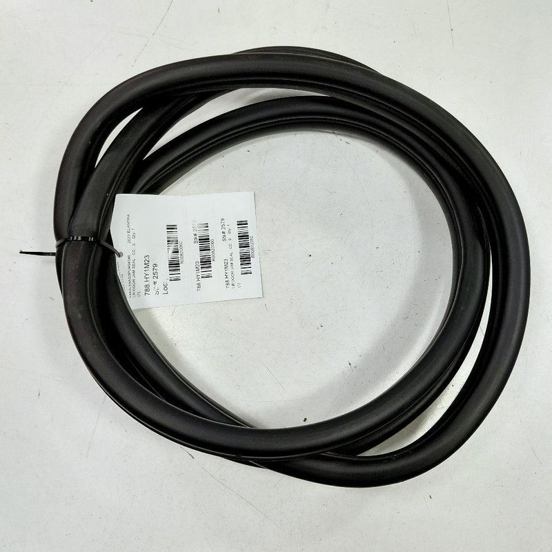 Hyundai Elantra On Body Door Jamb Seal Rear Left Driver Back  2024 202