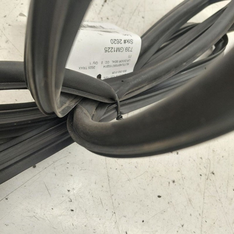 Chevy Trax On Door Seal Rubber Left Driver Rear Back  2025 2024