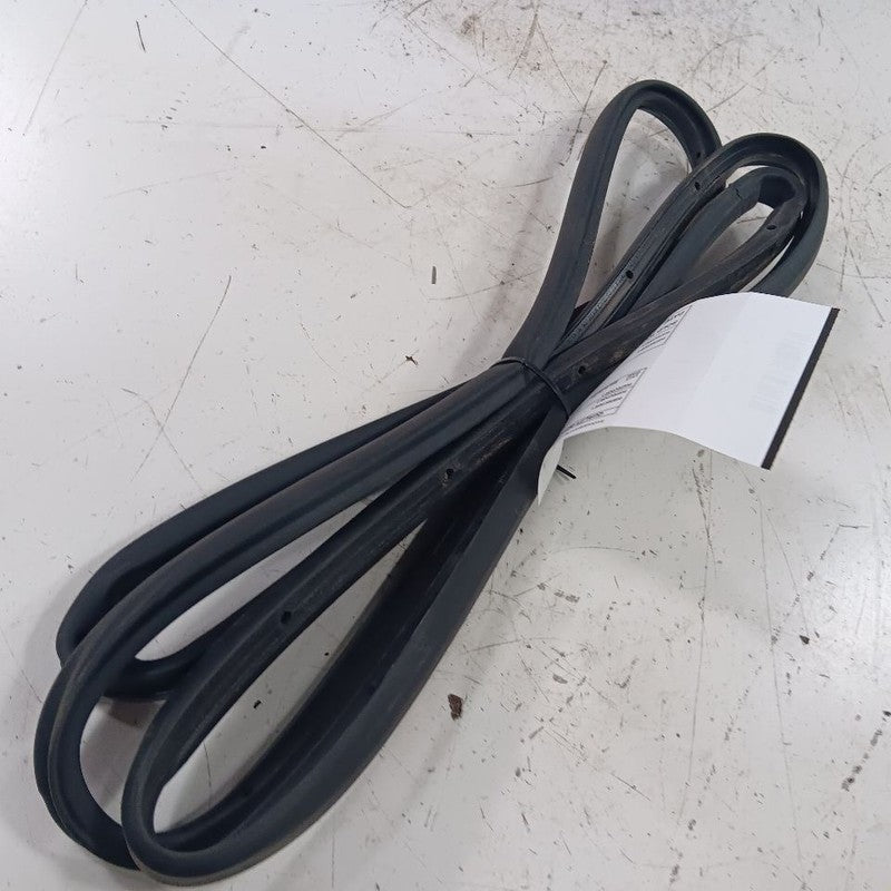 Ford Escape On Door Seal Rubber Right Passenger Rear Back  2019 2018 2
