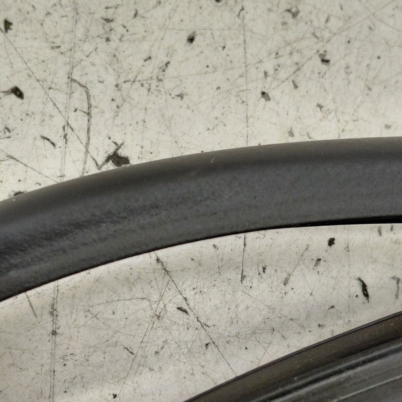 Cadillac CT6 On Door Seal Rubber Right Passenger Rear Back  2018 2017 