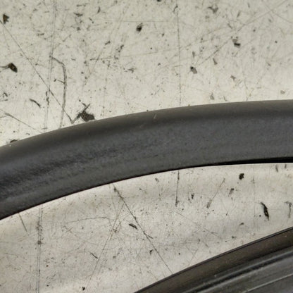 Cadillac CT6 On Door Seal Rubber Right Passenger Rear Back  2018 2017 