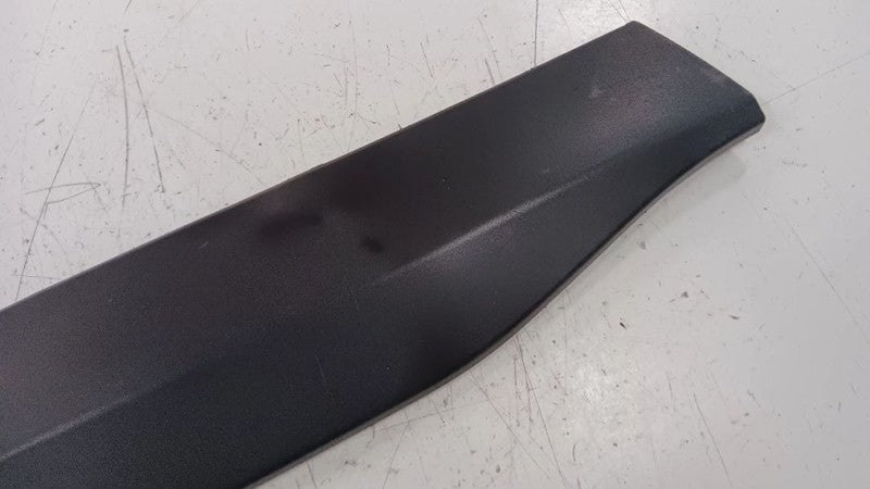 Toyota Rav 4 Door Molding Trim Strip Left Driver Front  2019 2020 2021