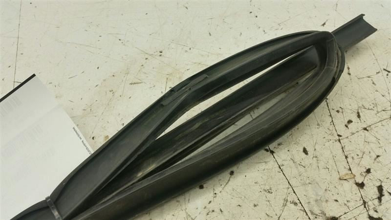 Dodge Journey Door Glass Window Seal Rubber Gasket Left Rear Back 2009