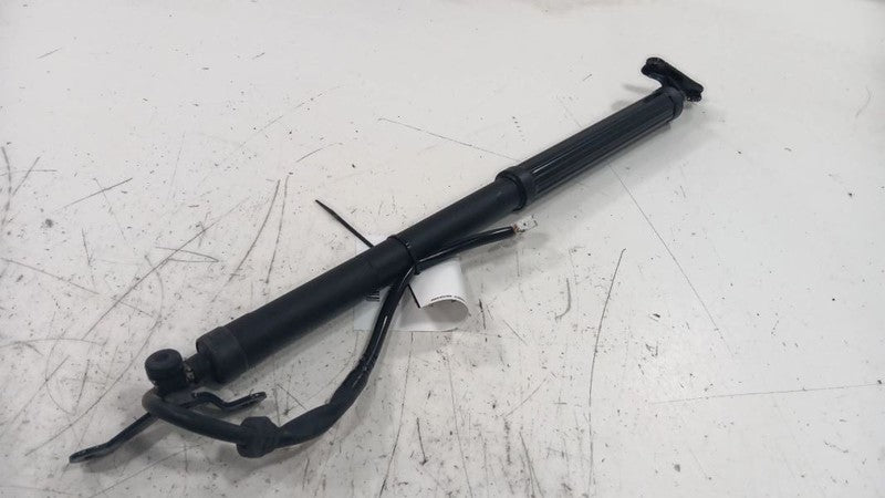 Toyota Rav 4 Hatchback Hatch Back Trunk Lid Shock Strut Support  2019 