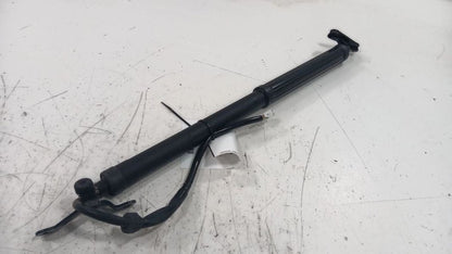 Toyota Rav 4 Hatchback Hatch Back Trunk Lid Shock Strut Support  2019 