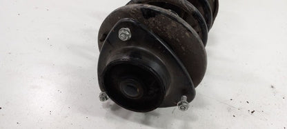 Driver Left Strut Front Base With Turbo 5 Speed Fits 05-09 Subaru Lega