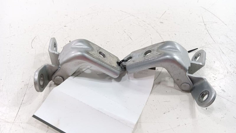 Hyundai Sonata Door Hinge Set Right Front Passenger 2018 2019 OEM