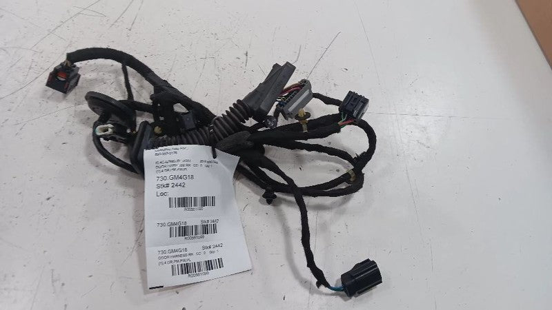 Buick Encore Door Harness Wire Wiring Right Passenger Rear  2016 2017 2018 2019