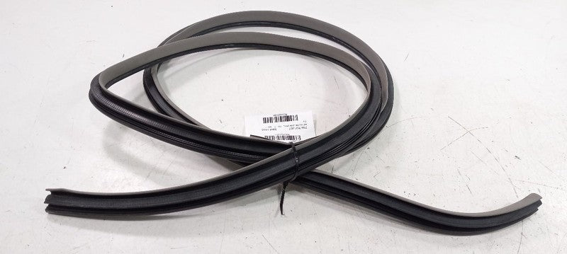 Toyota Camry On Body Door Jamb Seal Front Right Passenger 2007 2008 2009