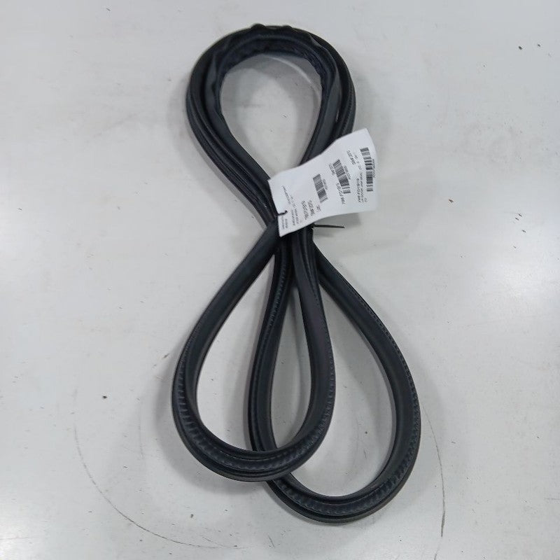 Ford Ecosport On Body Door Jamb Seal Rear Left Driver Back  2018 2019 