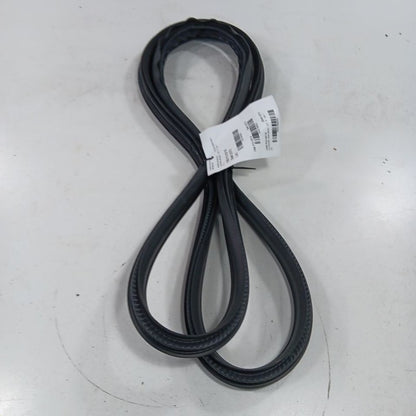Ford Ecosport On Body Door Jamb Seal Rear Left Driver Back  2018 2019 