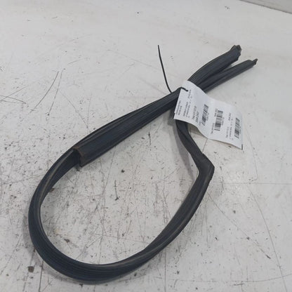 Hyundai Elantra Door Glass Window Seal Rubber Left Driver Front  2017 