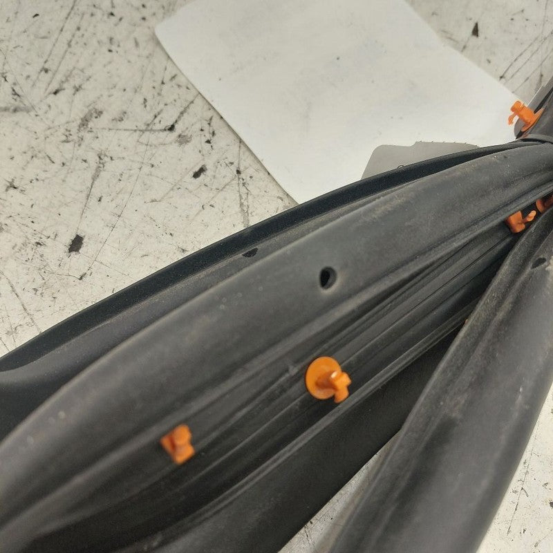 Ford Edge On Door Seal Rubber Left Driver Front  2019 2020 2021 2022