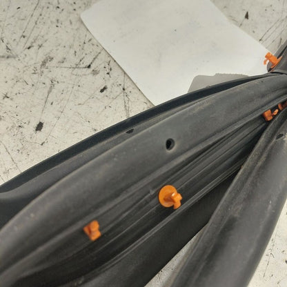 Ford Edge On Door Seal Rubber Left Driver Front  2019 2020 2021 2022