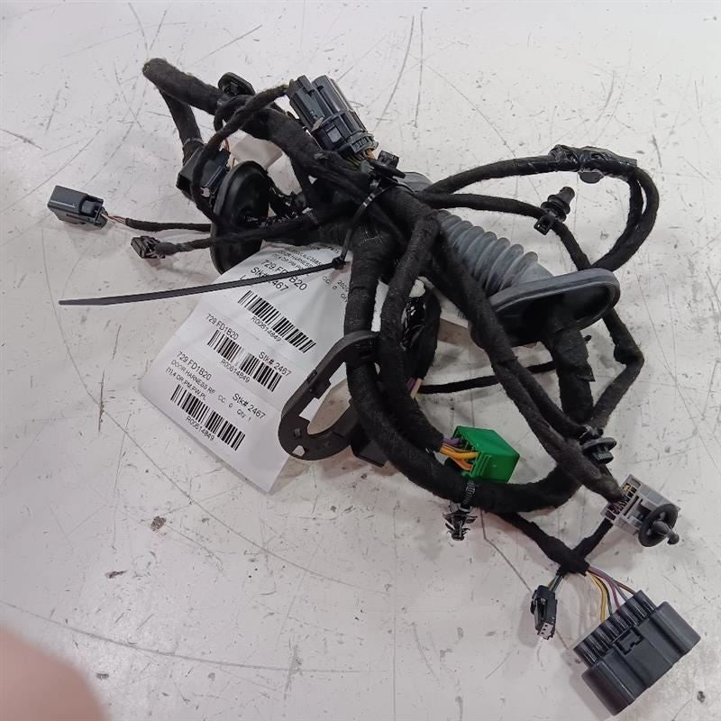 Ford Ecosport Door Harness Wire Wiring Right Passenger Front  2018 201