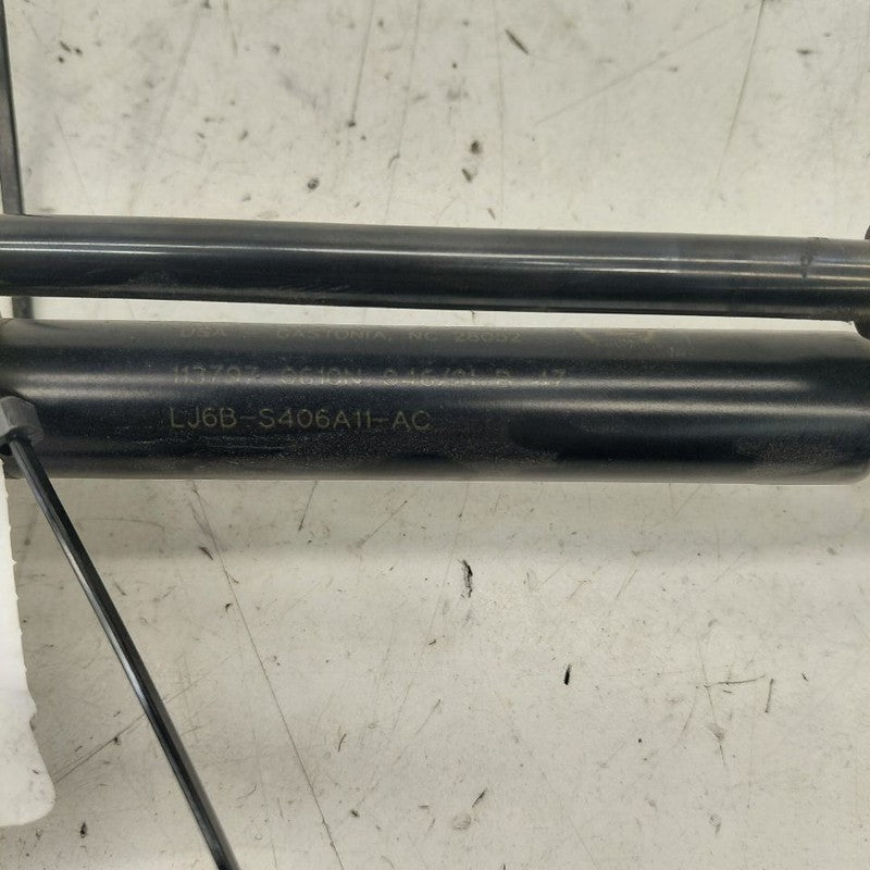 Ford Escape Hatchback Hatch Back Trunk Lid Shock Strut Support  2020 2