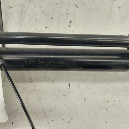 Ford Escape Hatchback Hatch Back Trunk Lid Shock Strut Support  2020 2