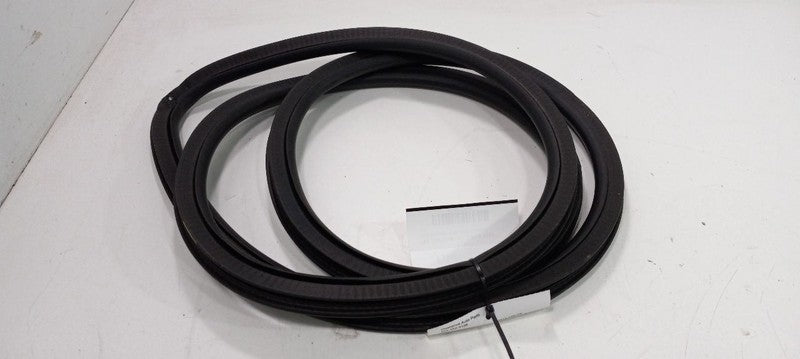 Chevy Cruze On Body Door Jamb Seal Rear Left Back 2019 2018 2017 2016 