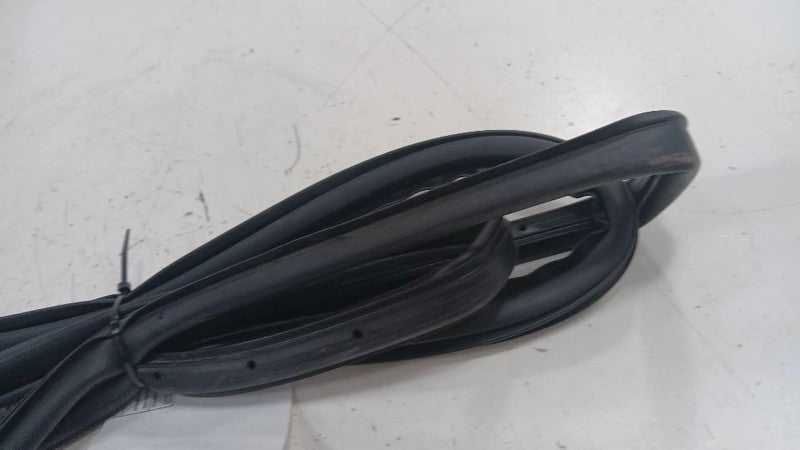 Chevy Volt On Door Seal Rubber Right Passenger Front  2011 2012 2013 2014 2015