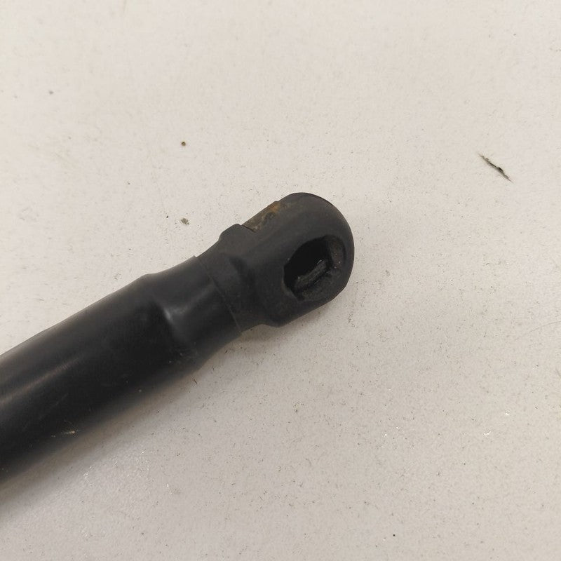 Hyundai Veloster Hood Strut Shock Support  2017 2016 2015 2014