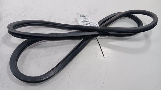 Dodge Dart On Body Door Jamb Seal Front Right Passenger  2013 2014 2015 2016