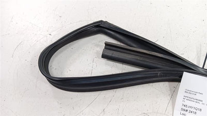 Hyundai Sonata Door Glass Window Seal Rubber Right Passenger Front 201