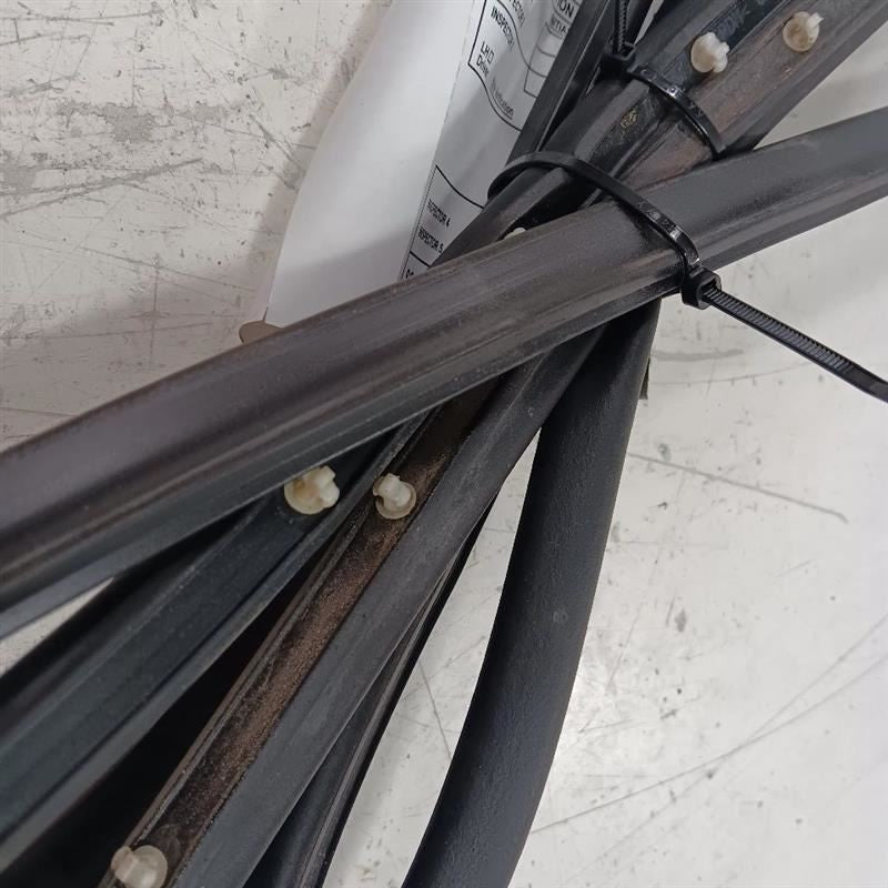 Mini Cooper On Door Seal Rubber Left Driver Front  2016 2017 2018 2019