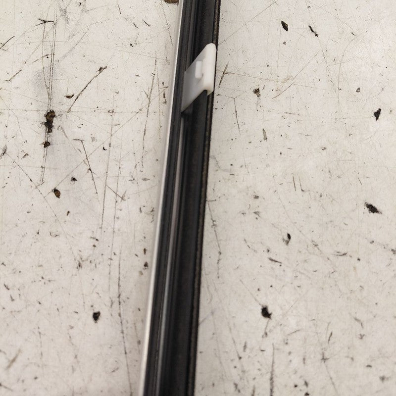 Kia Sorento Door Glass Window Weather Strip Trim Rear Right Passenger 