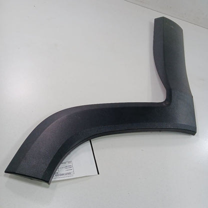Jeep Renegade Door Molding Trim Strip Right Passenger Side Rear Back  2017 2018 