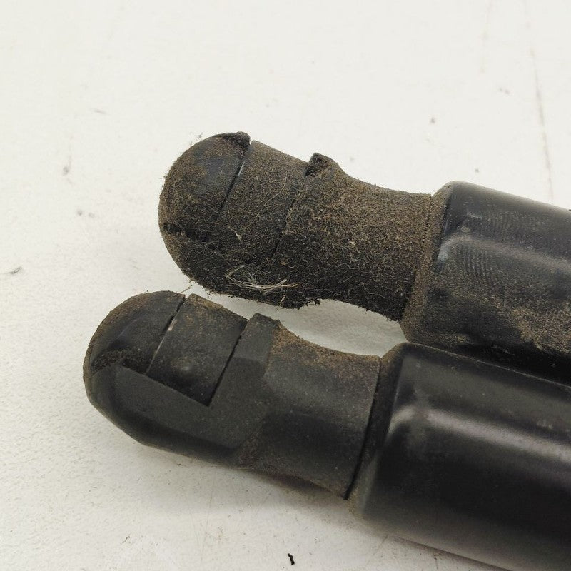 Ford Escape Hatchback Hatch Back Trunk Lid Shock Strut Support  2022 2